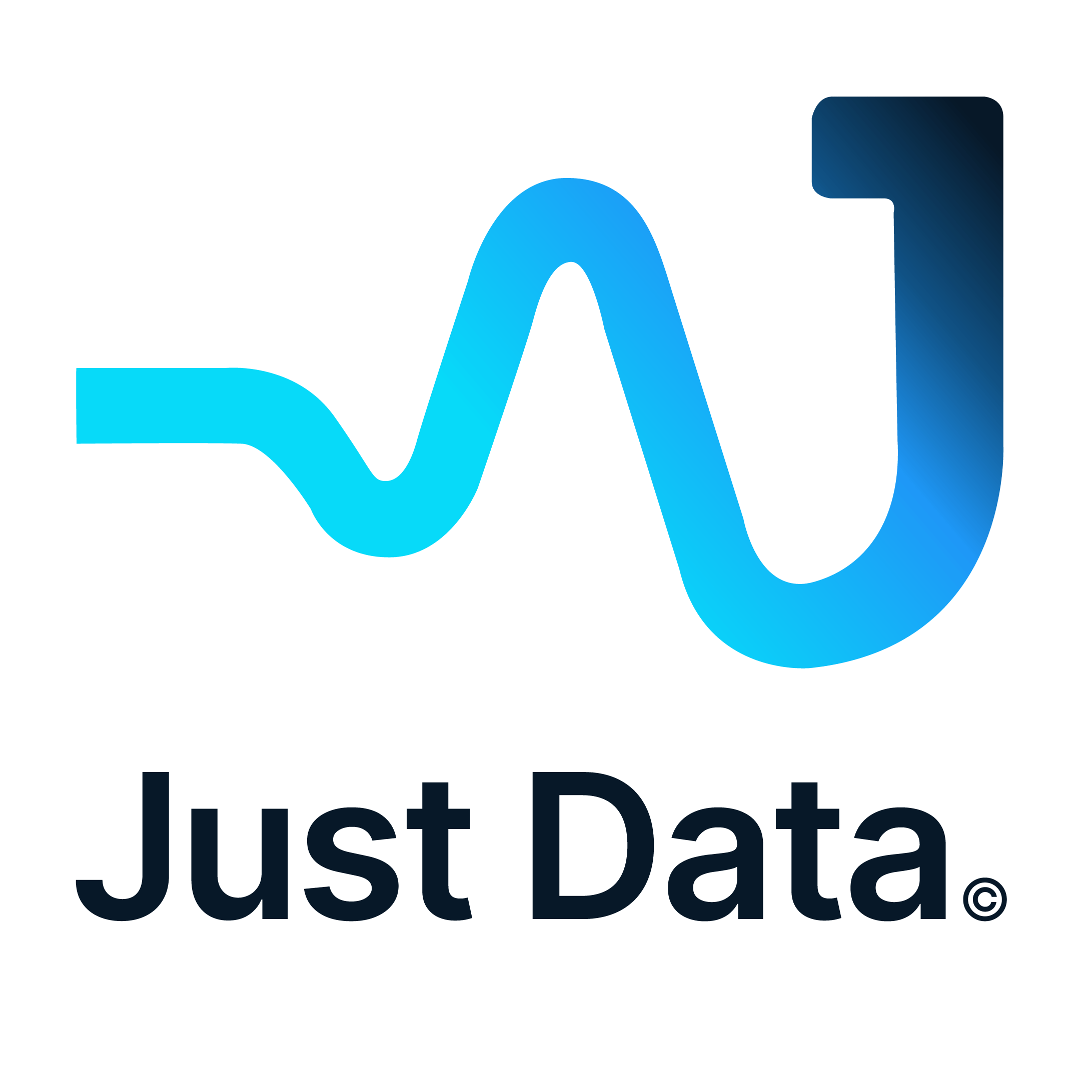Just Data Logo